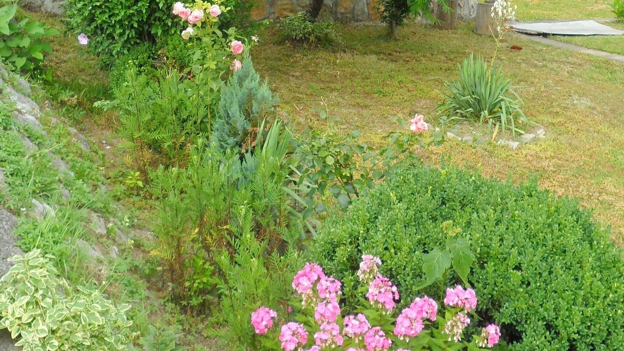 Photo of Outdoor in Rakovica