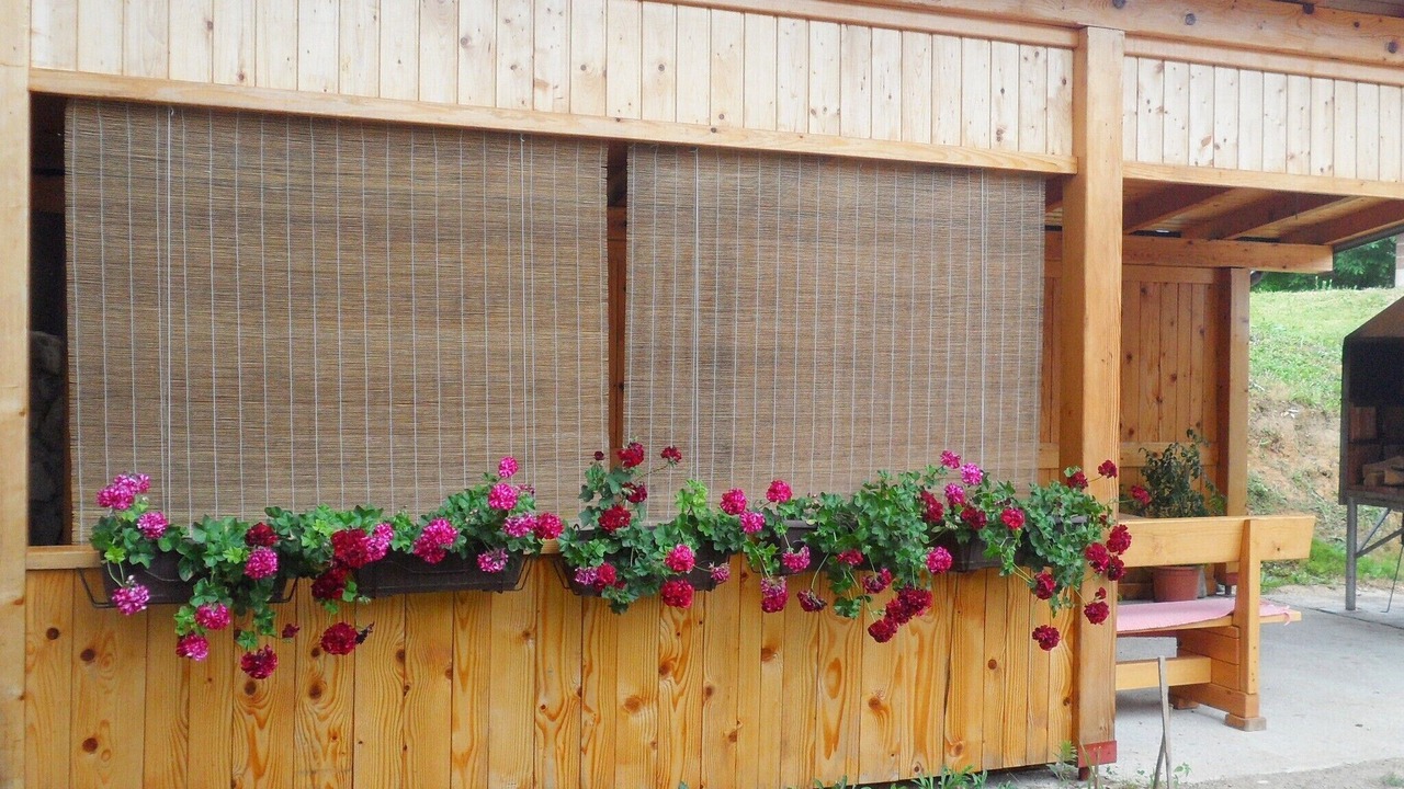 Photo of Outdoor in Rakovica