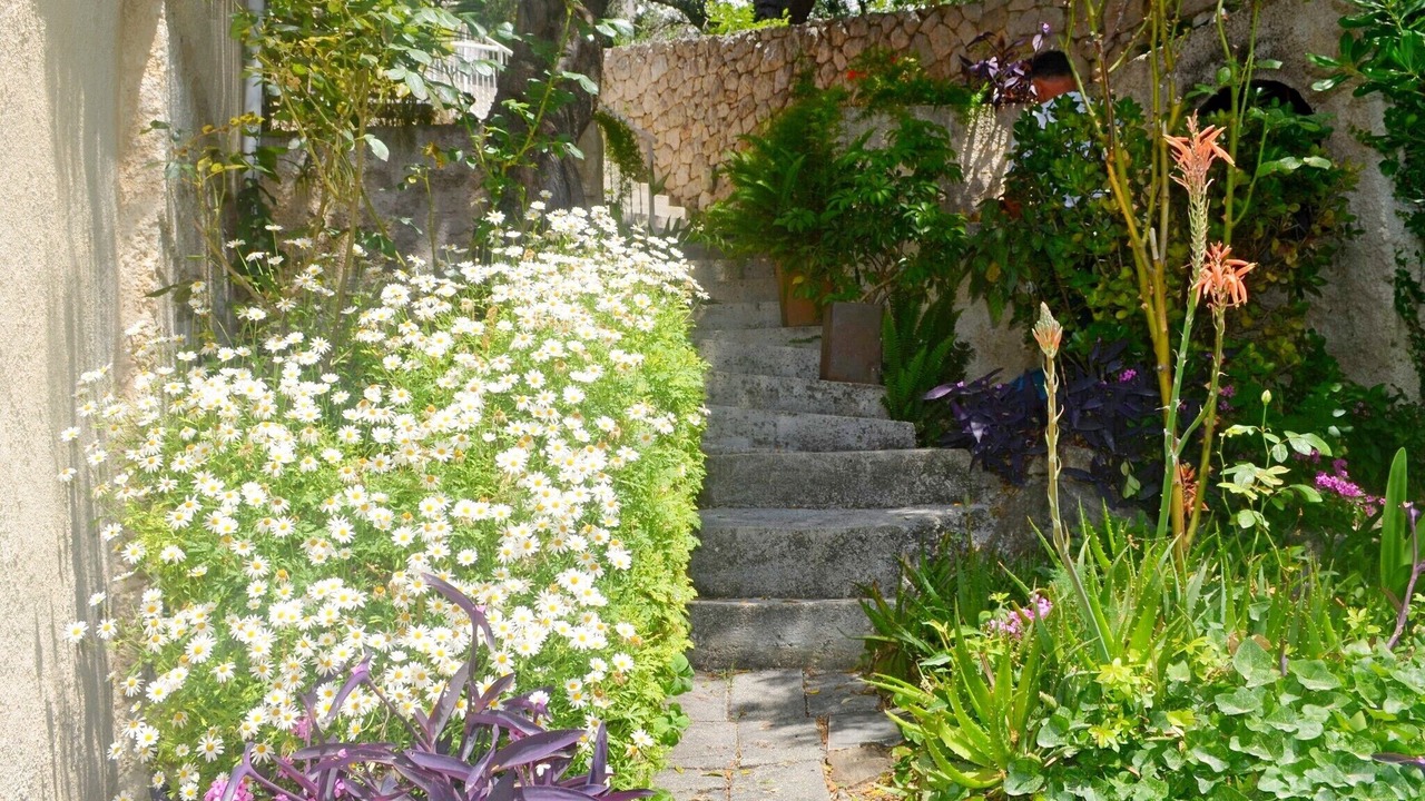Photo of Outdoor in Zupa dubrovacka