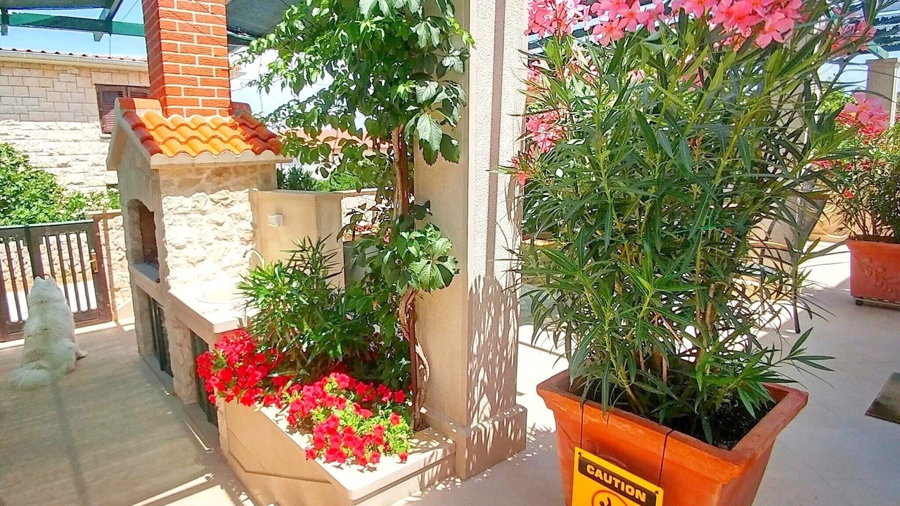 Photo of Outdoor in Povlja