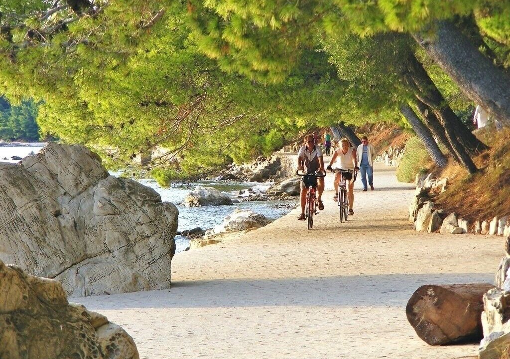 Photo of Others in Palit