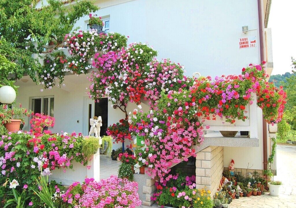 Photo of Outdoor in Palit