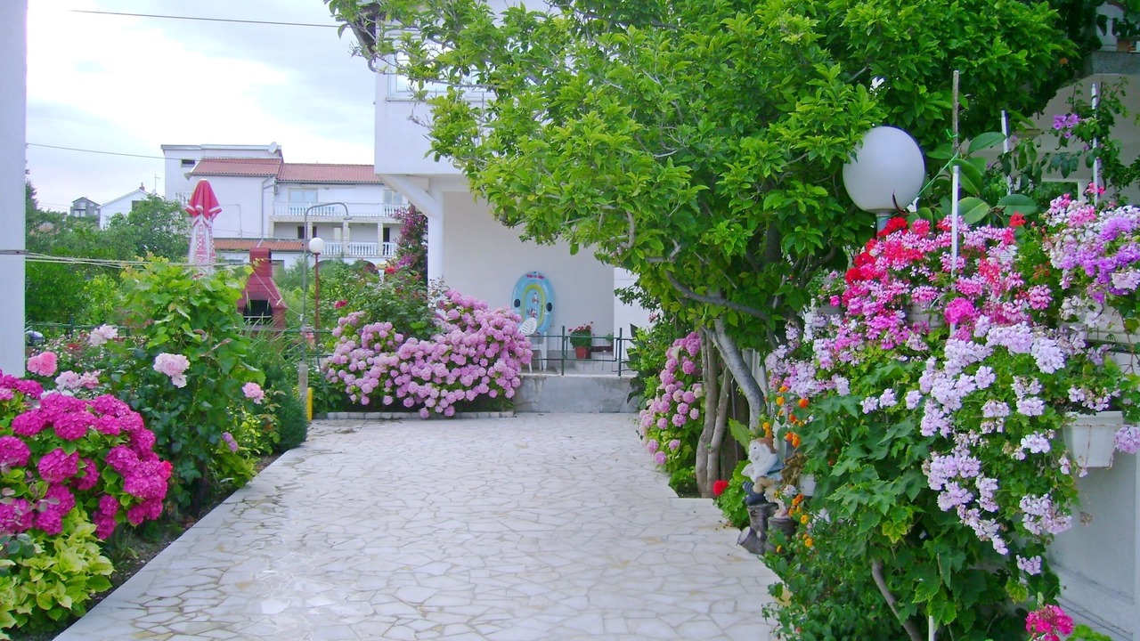 Photo of Outdoor in Palit