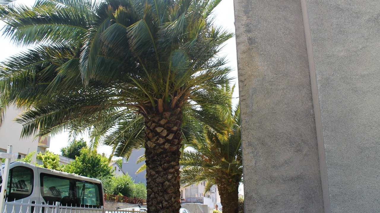 Photo of Outdoor in Split