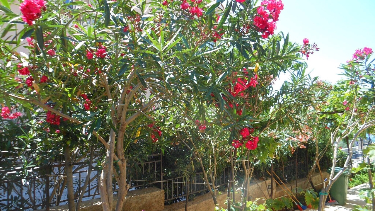 Photo of Outdoor in Lun