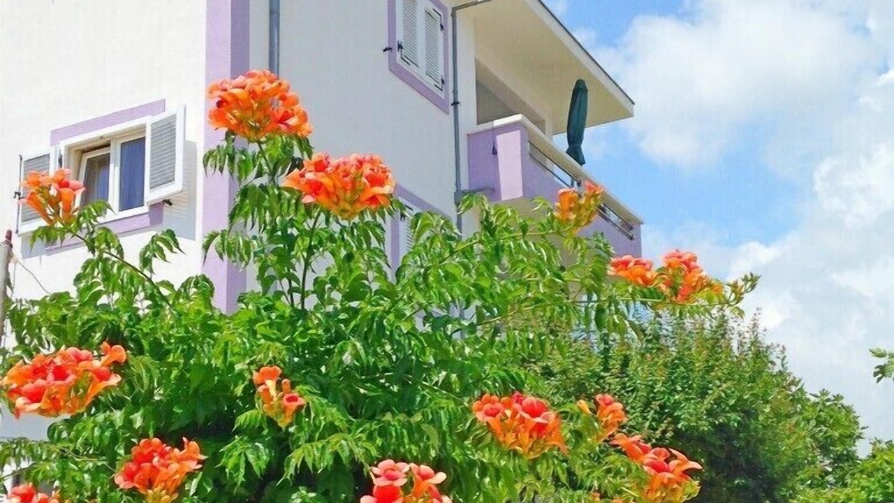 Photo of Outdoor in Vinisce