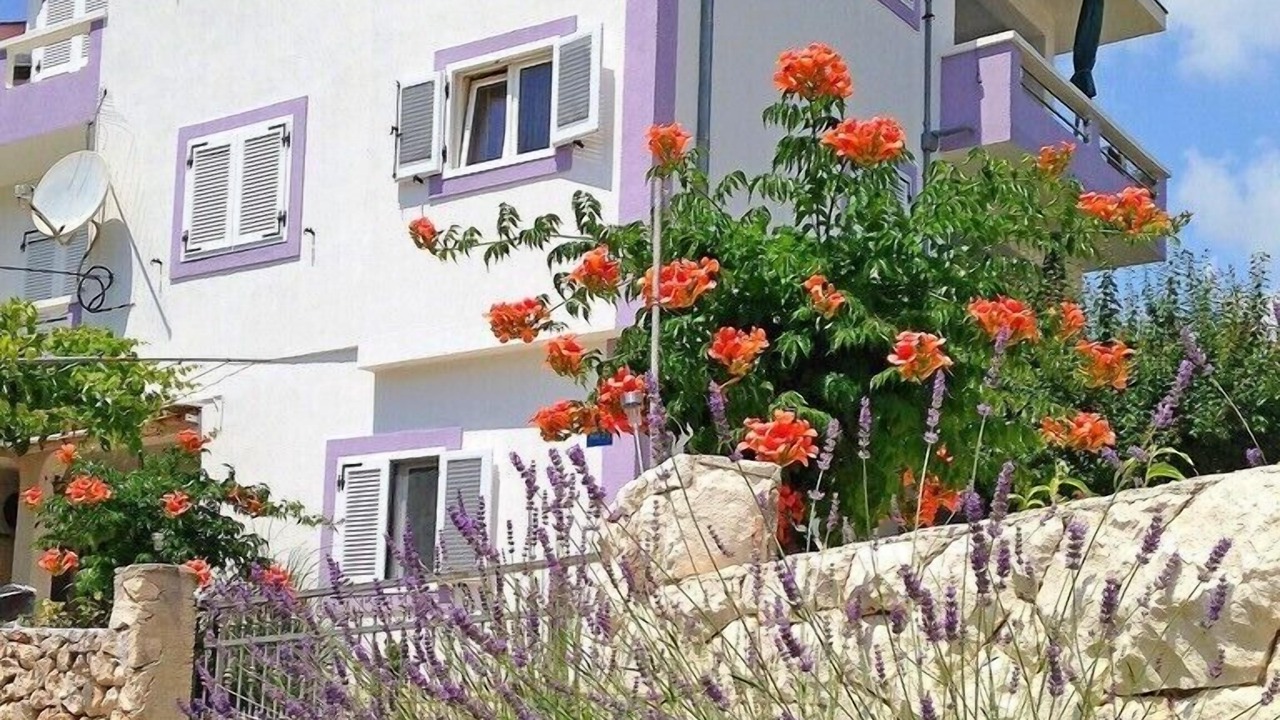 Photo of Outdoor in Vinisce