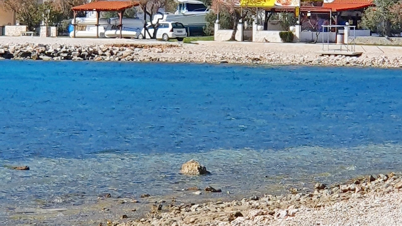 Photo of Others in Vinisce
