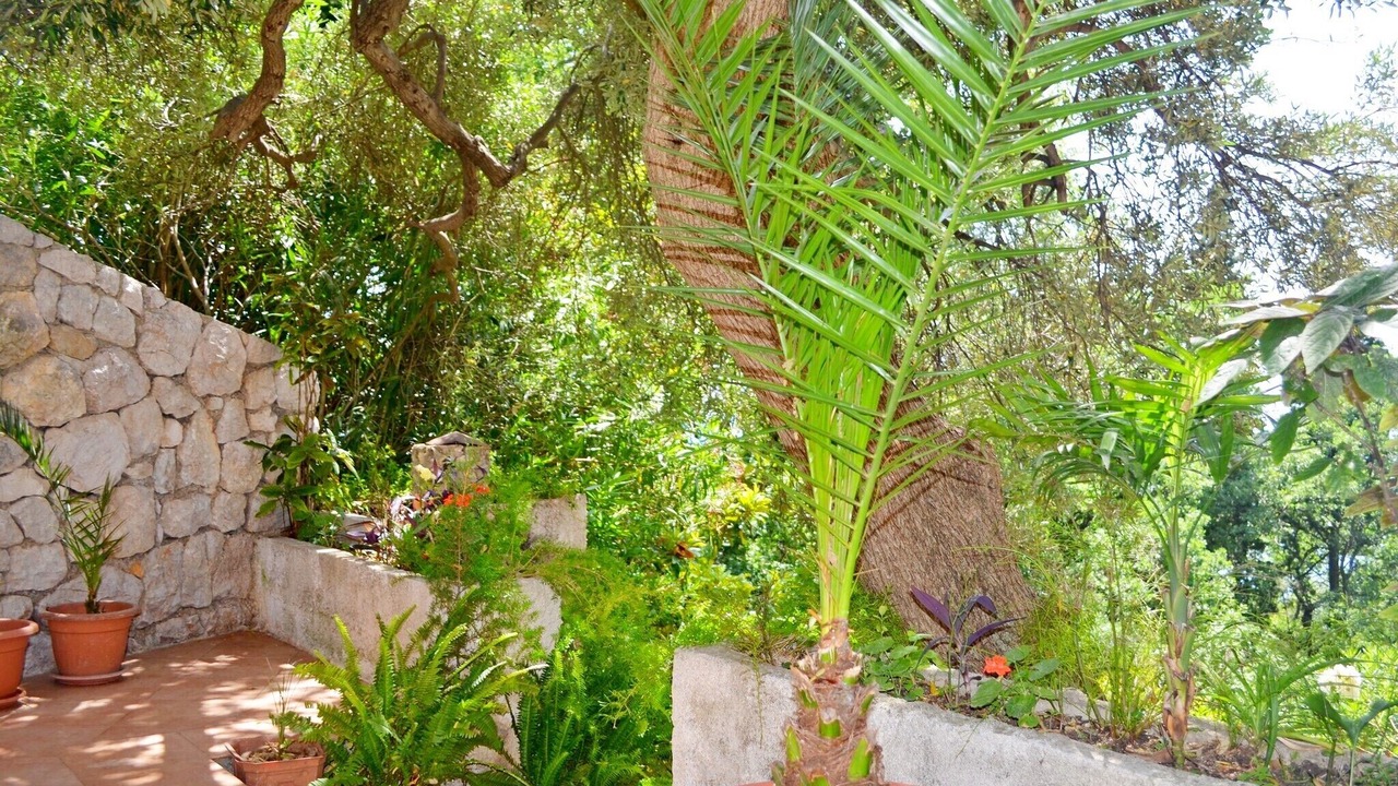 Photo of Outdoor in Zupa dubrovacka