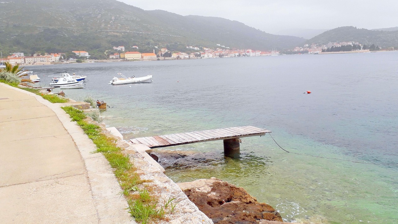 Photo of Others in Vis