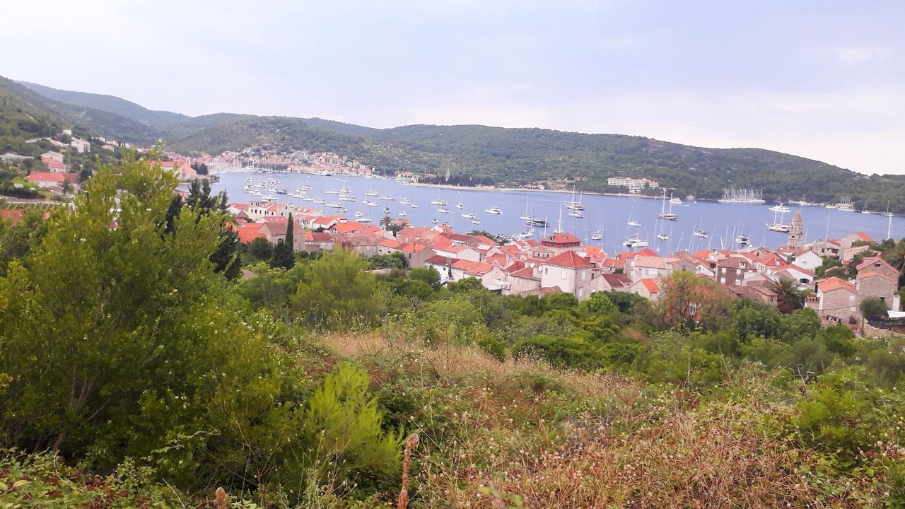 Photo of Others in Vis