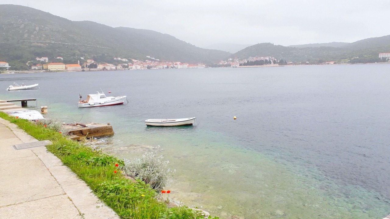 Photo of Others in Vis