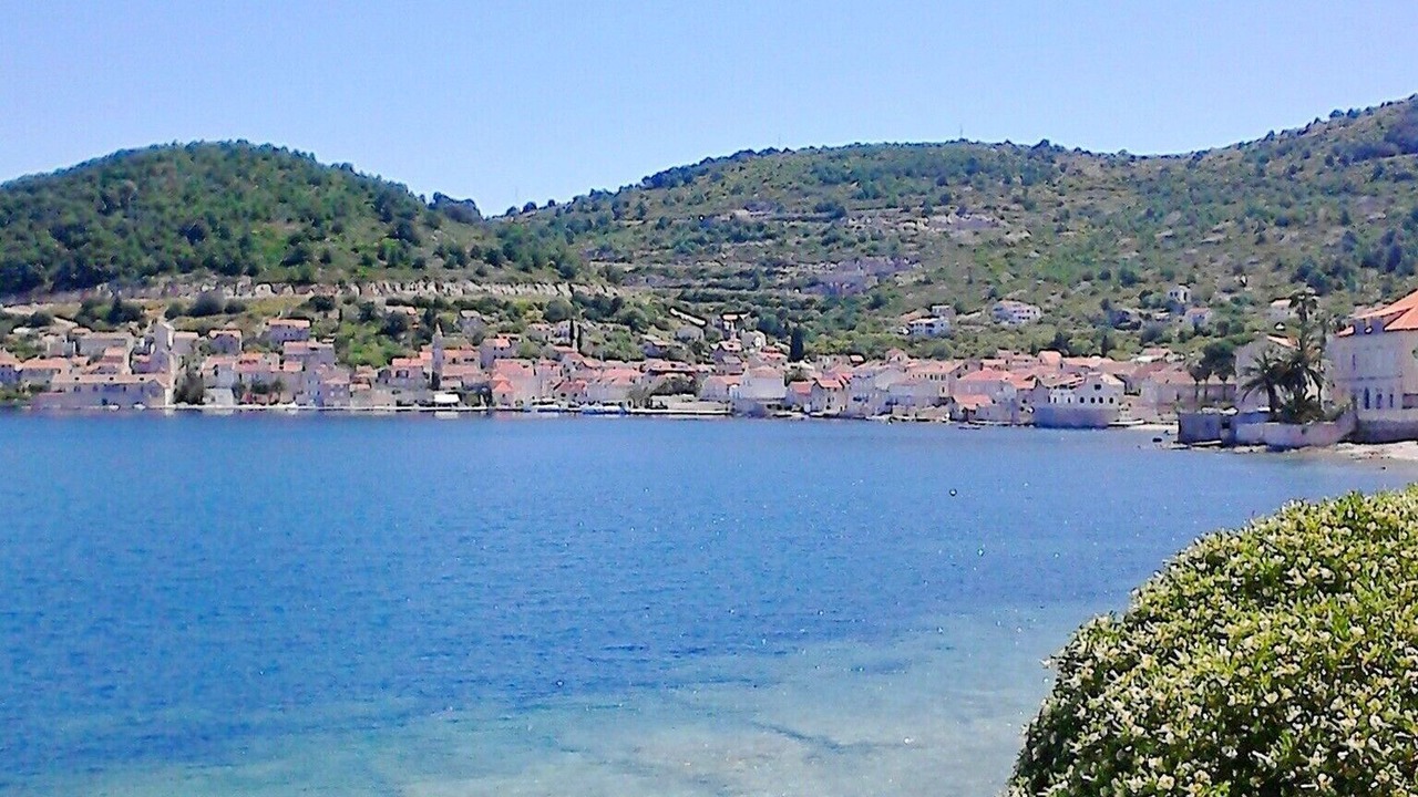 Photo of Others in Vis
