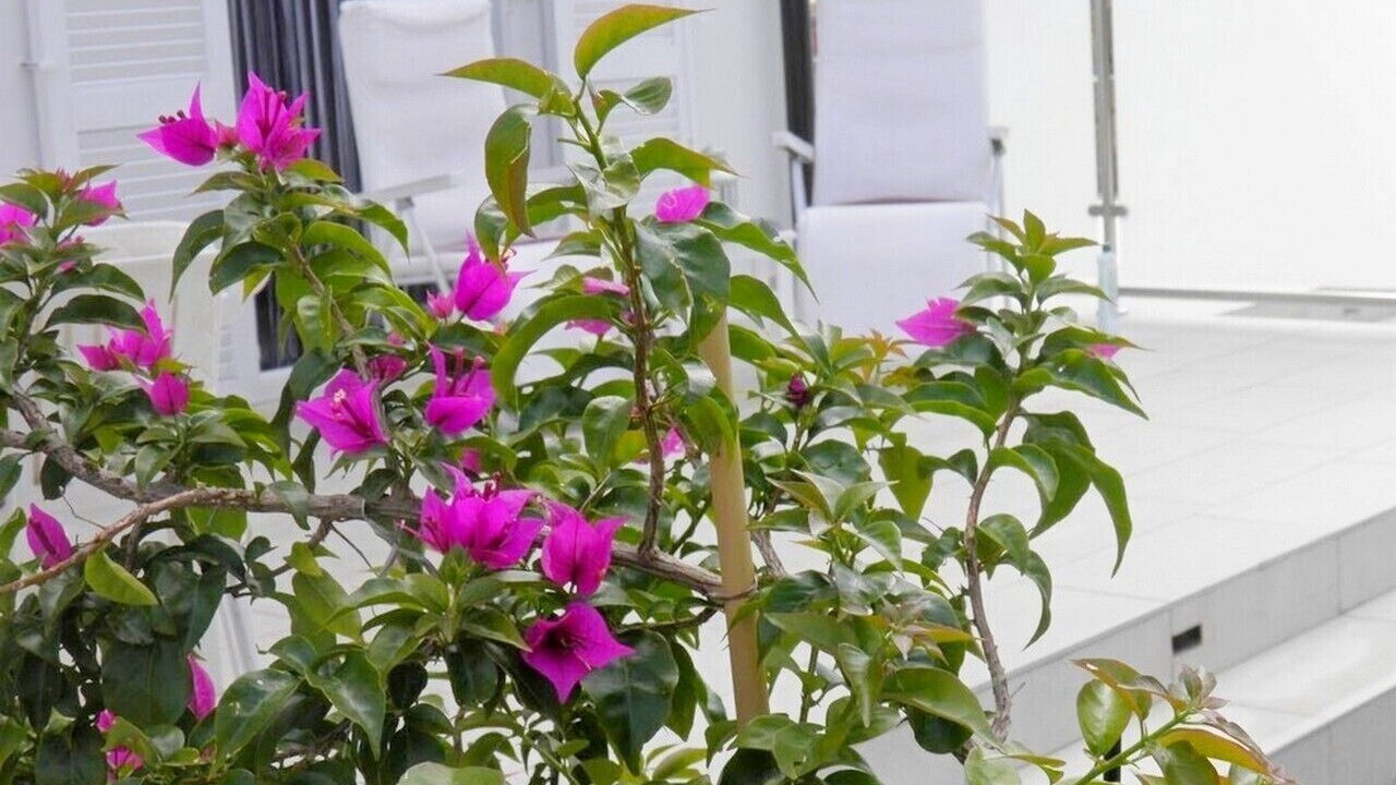 Photo of Outdoor in Njivice