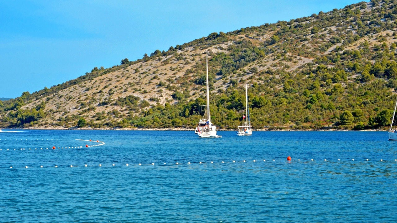 Photo of Others in Vinisce