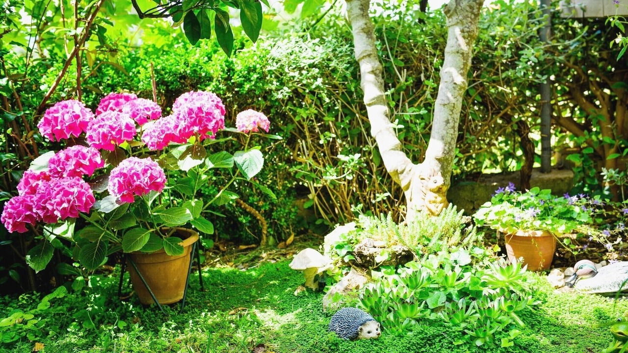 Photo of Outdoor in Kozino