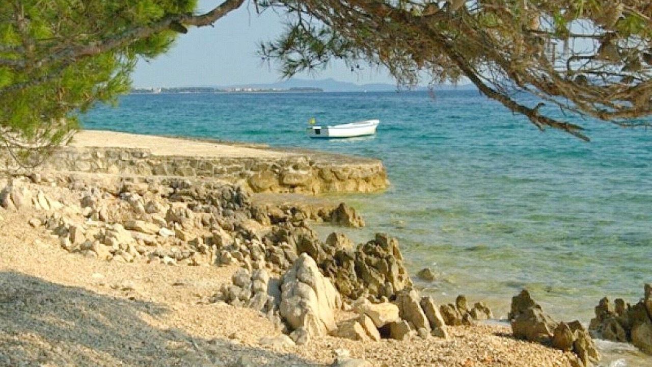 Photo of Others in Kozino