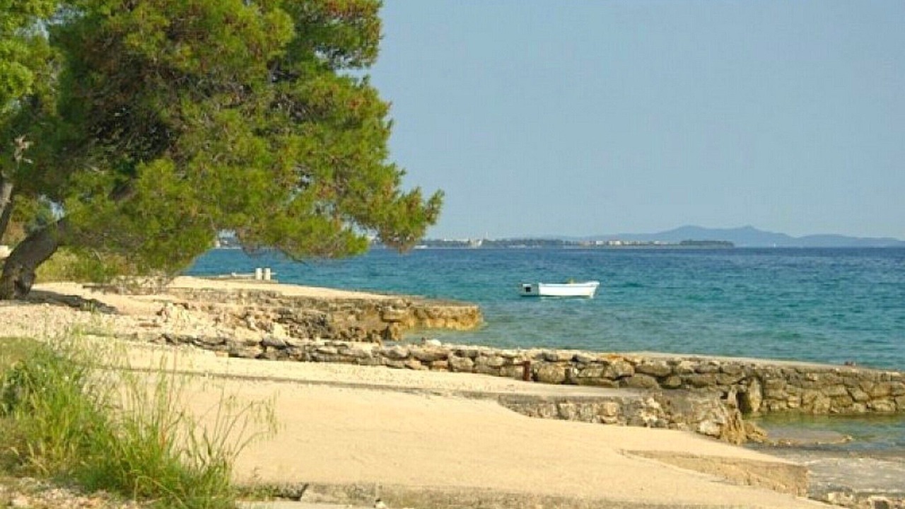 Photo of Others in Kozino