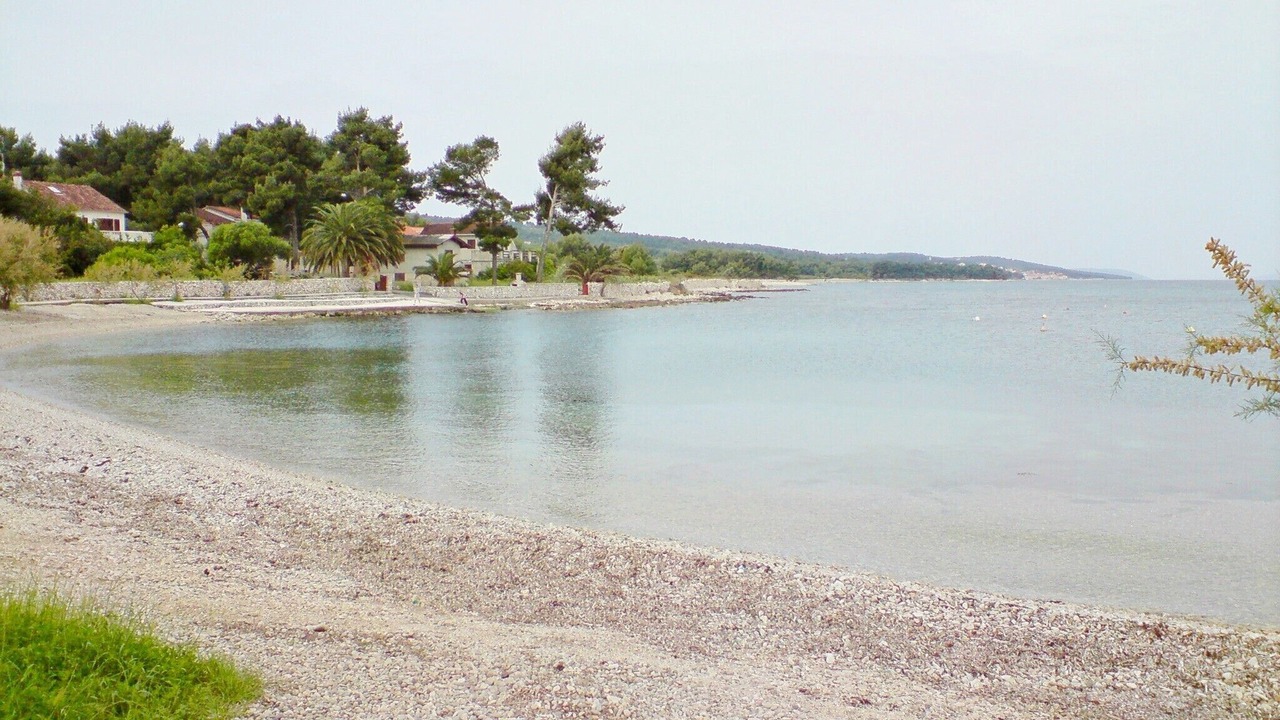 Photo of Others in Mirce