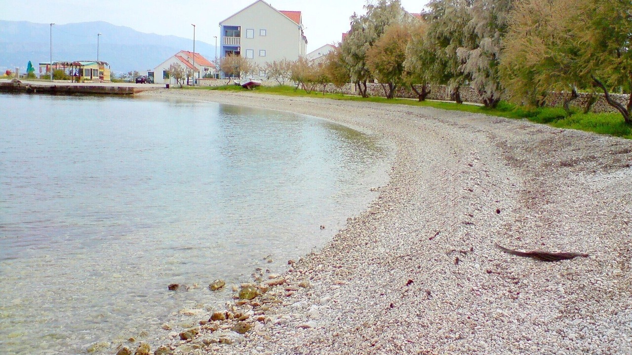 Photo of Others in Mirce