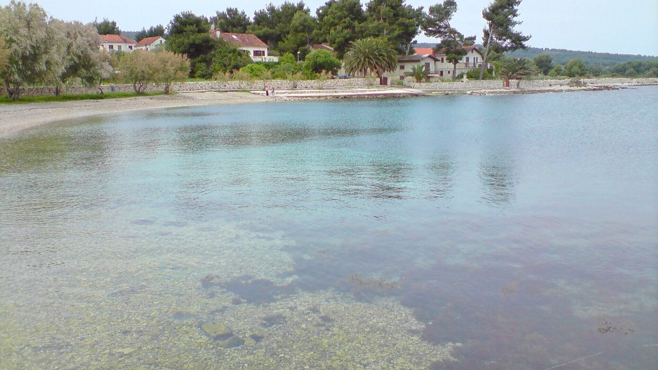 Photo of Others in Mirce