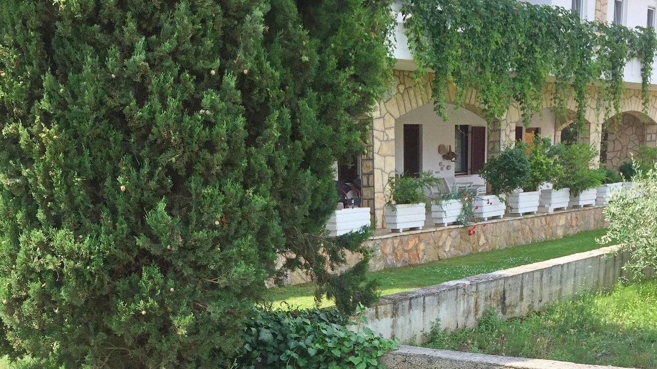 Photo of Outdoor in Island Hvar
