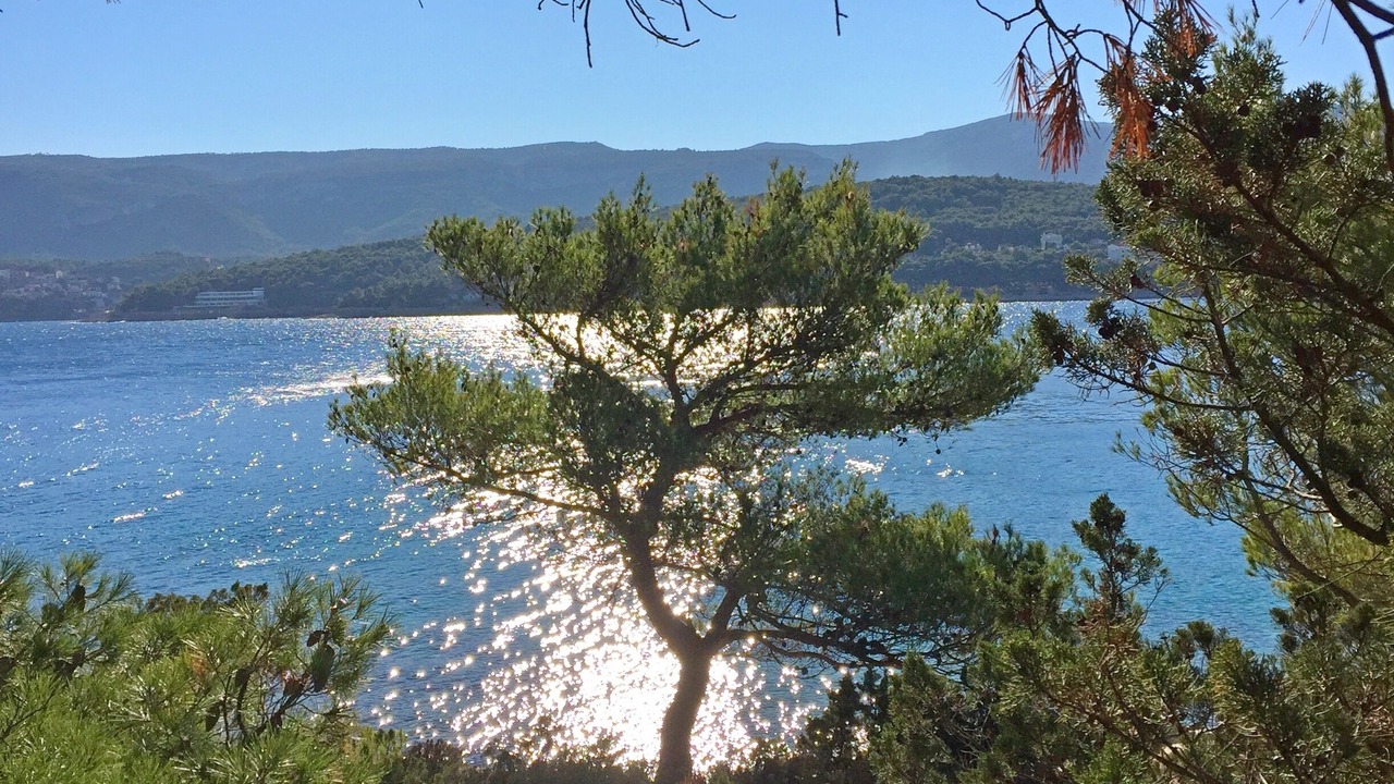 Photo of Bedroom in Island Hvar
