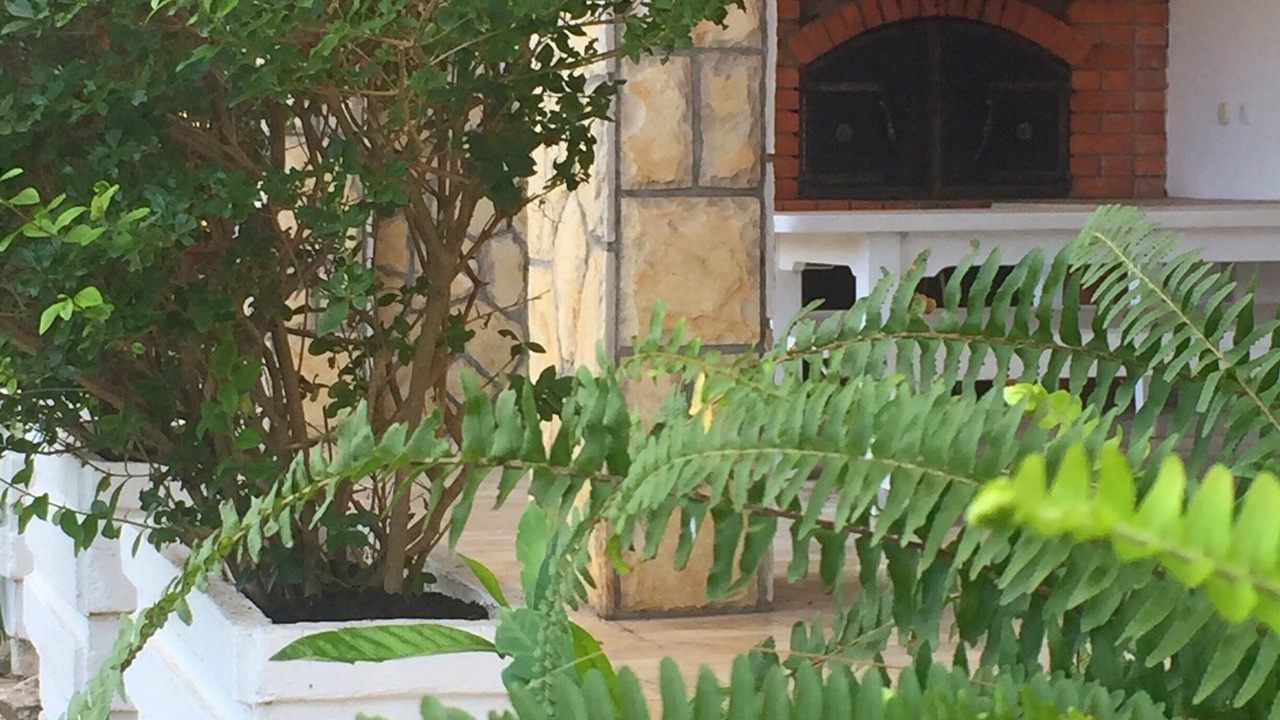 Photo of Outdoor in Island Hvar