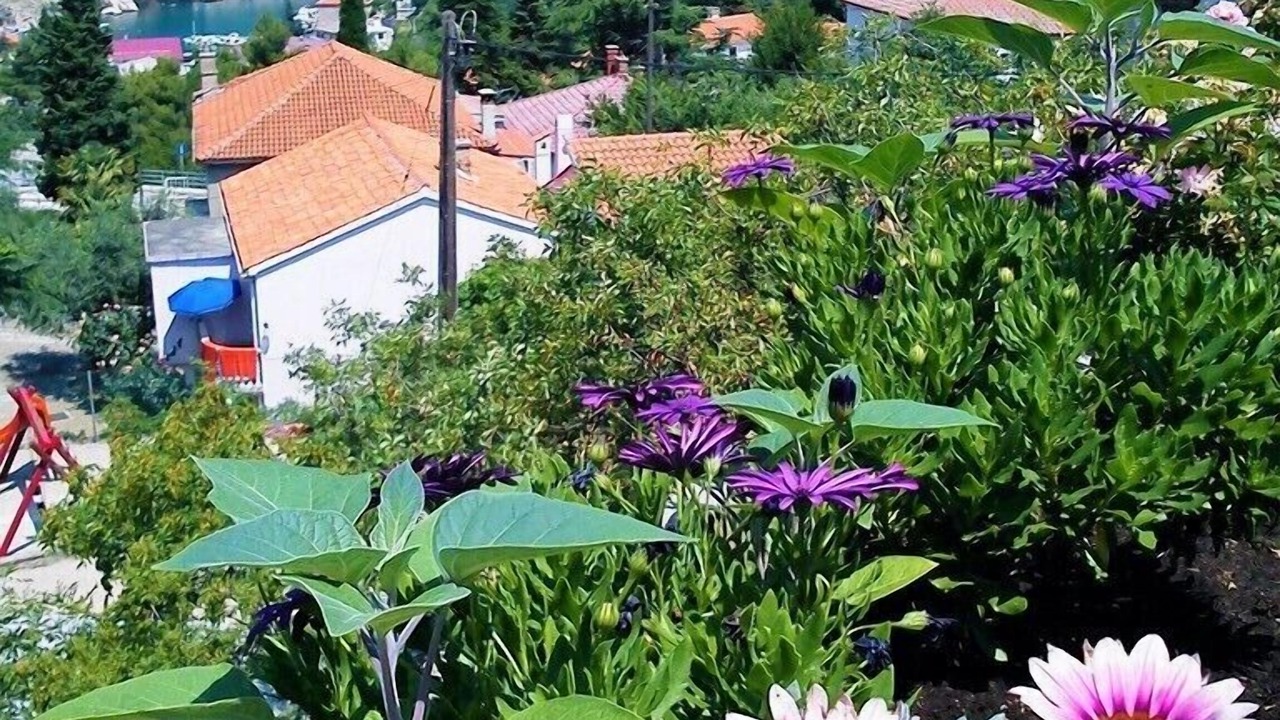 Photo of Outdoor in Vrbnik