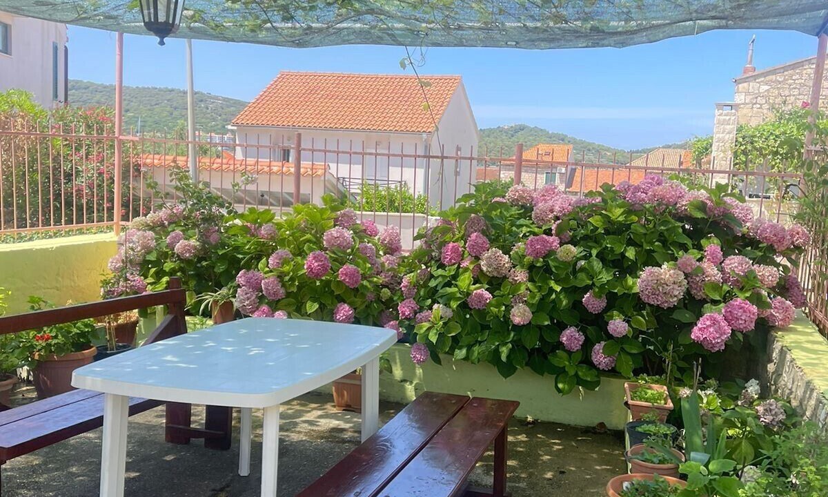 Photo of Outdoor in Vis