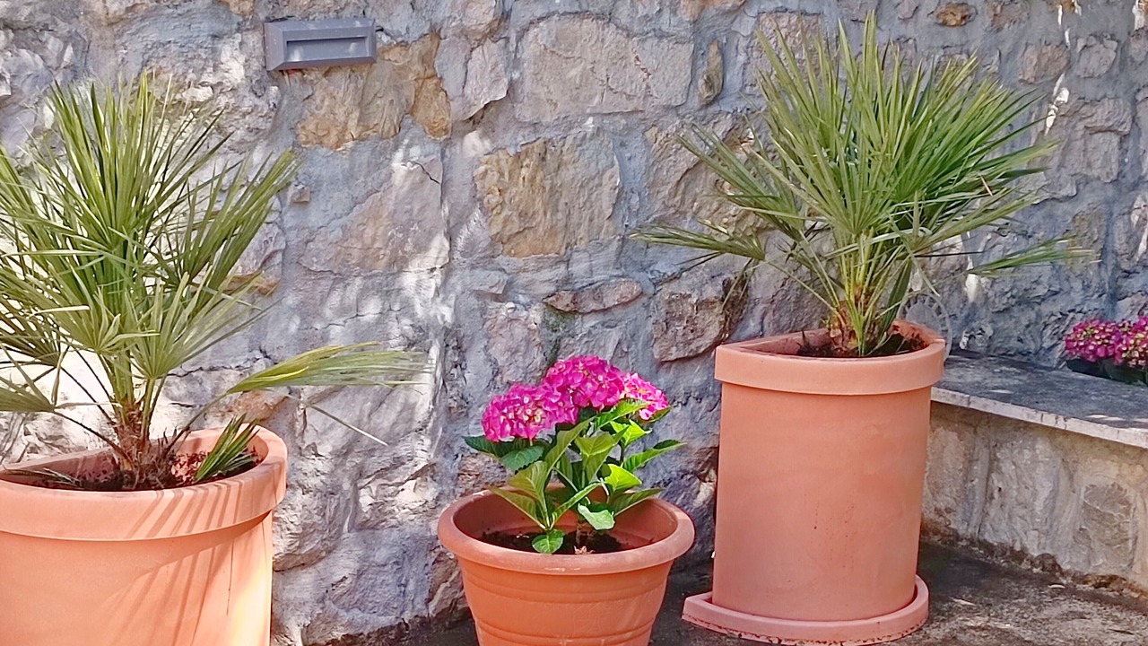 Photo of Outdoor in Split