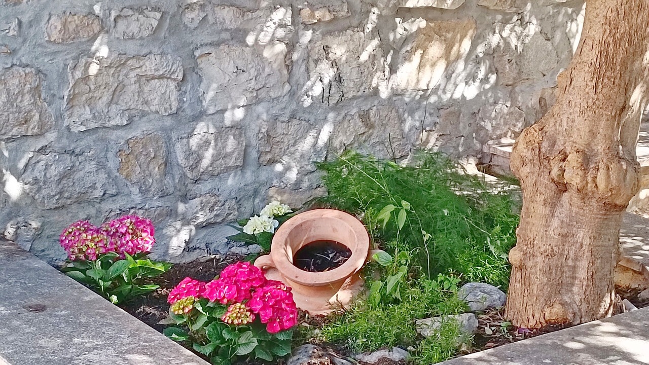 Photo of Outdoor in Split