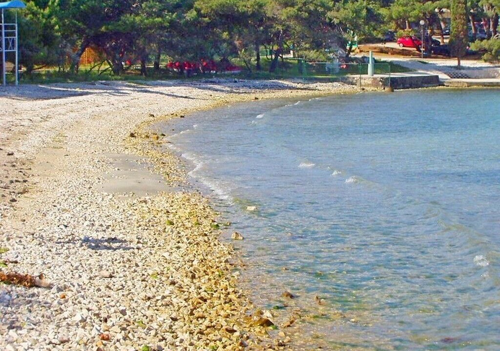 Photo of Others in Petrcane