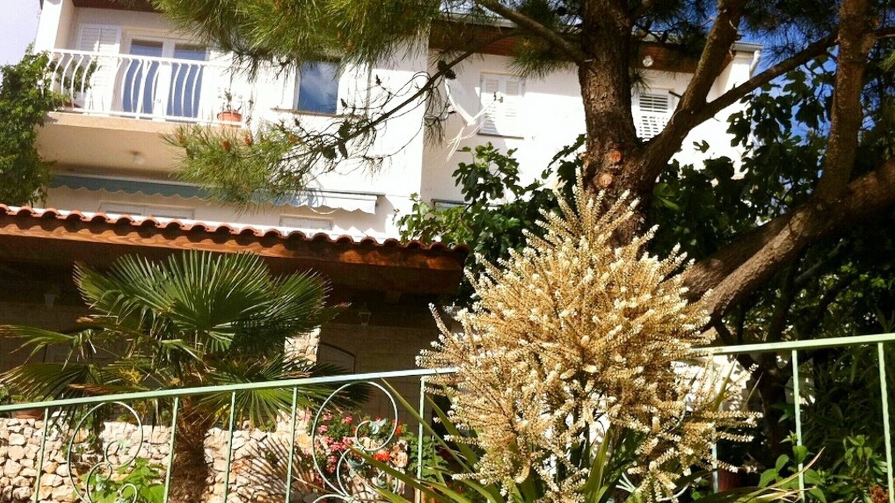 Photo of Outdoor in Primosten