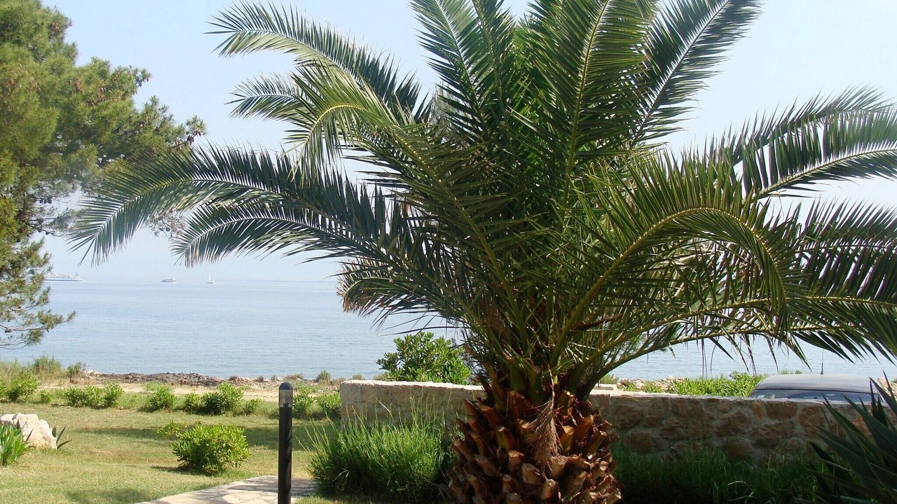 Photo of Outdoor in Susica