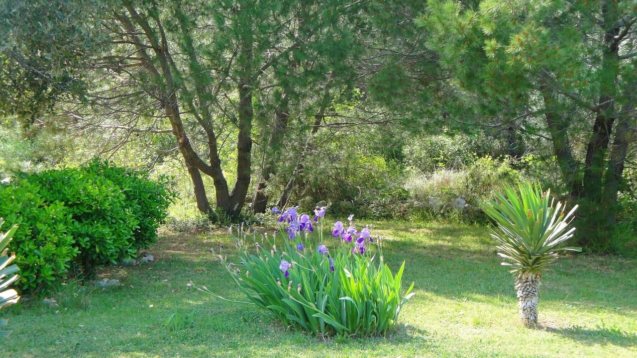 Photo of Outdoor in Susica
