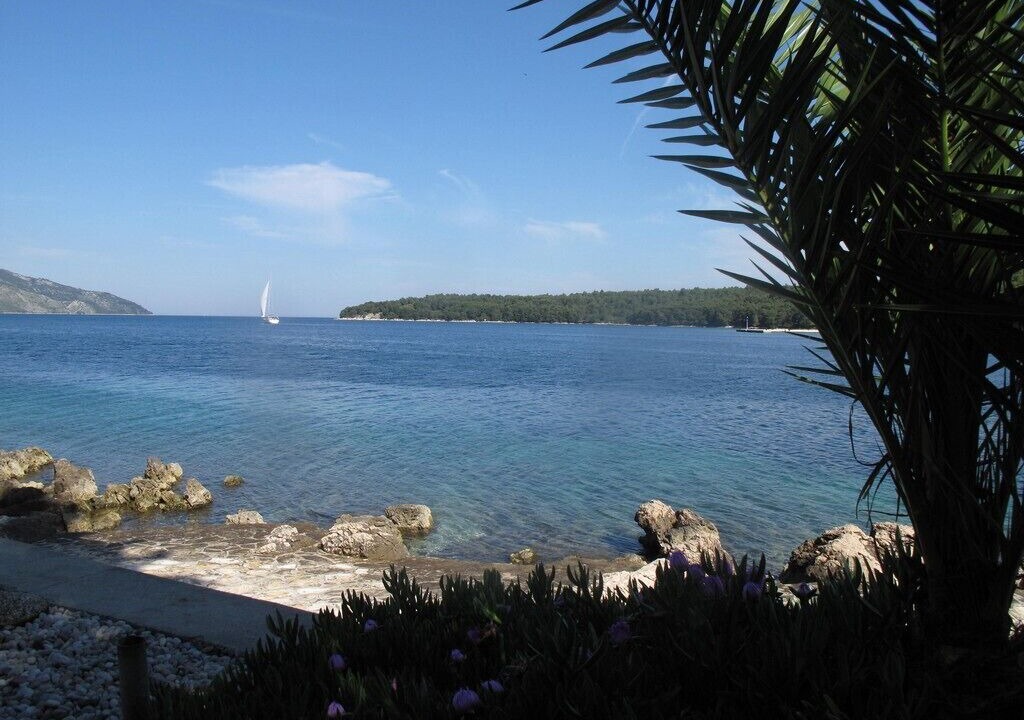 Photo of Others in Stari Grad