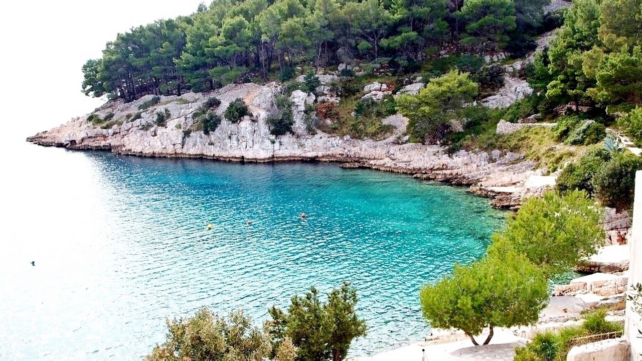 Photo of Others in Cove Osibova (Milna)