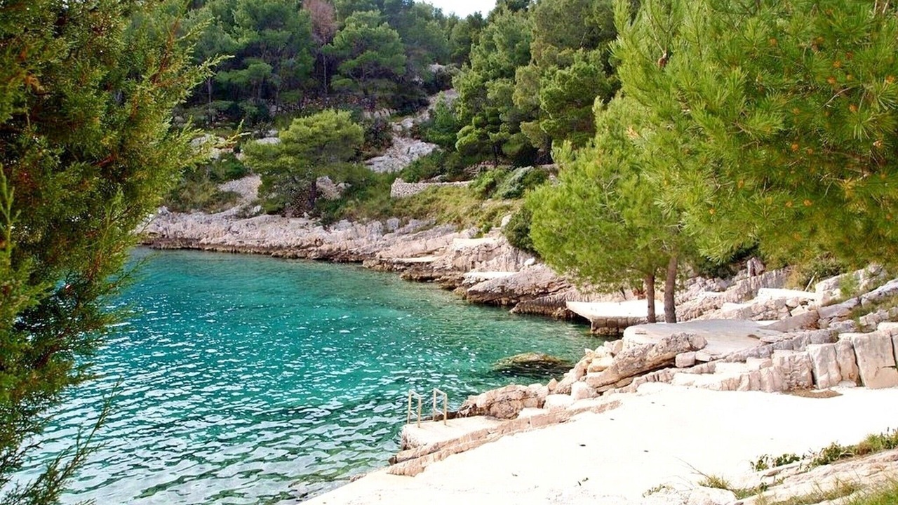 Photo of Others in Cove Osibova (Milna)