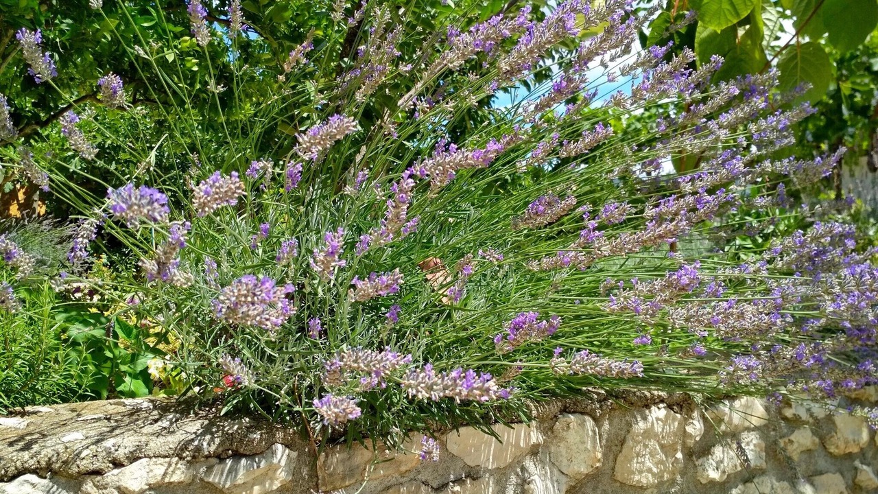 Photo of Outdoor in Poljica