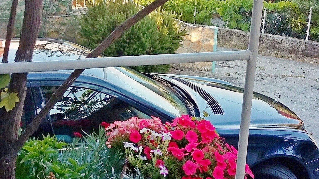 Photo of Outdoor in Poljica