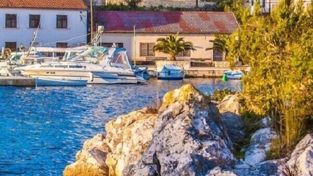 Photo of Others in Molat