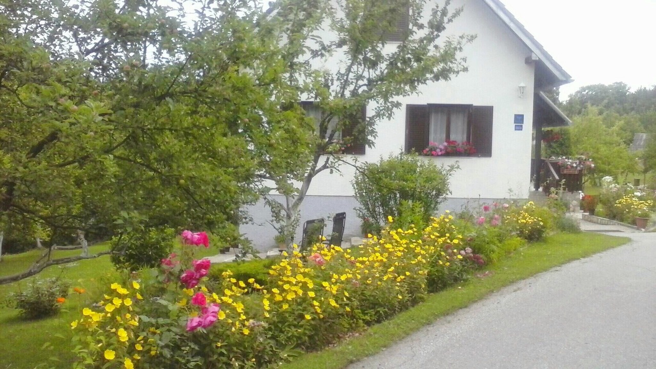 Photo of Outdoor in Poljanak