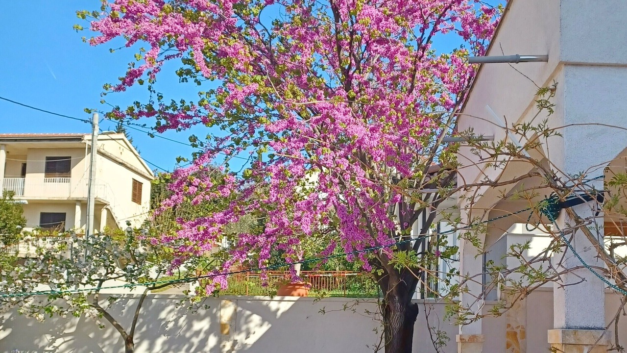 Photo of Outdoor in Gornji Karin