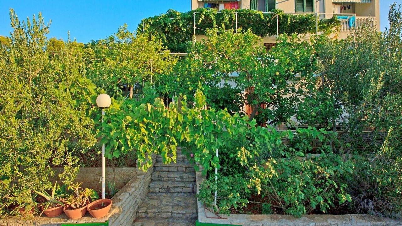 Photo of Outdoor in Stomorska