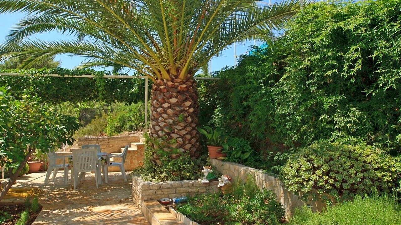 Photo of Outdoor in Stomorska