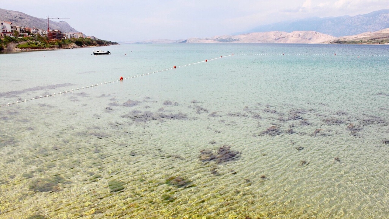 Photo of Others in Pag