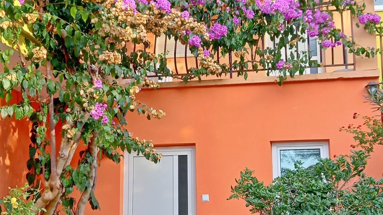 Photo of Outdoor in Petrcane
