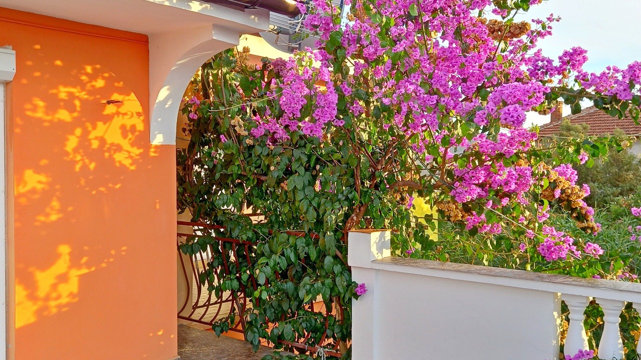 Photo of Outdoor in Petrcane