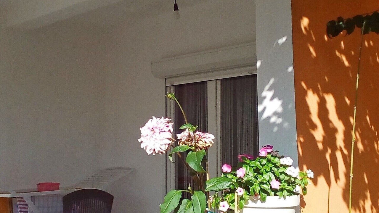 Photo of Patio Balcony in Petrcane